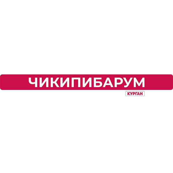 Организатор Чикипибарум